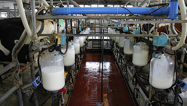 Минск хочет направить в Россию инспекторов молочных предприятий
