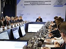 Раис Татарстана обсудил меры поддержки МСП на заседании правительственной комиссии в Москве