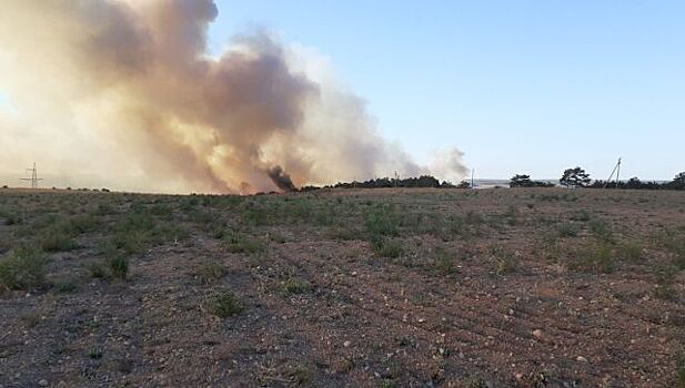 В Крыму пожарные полтора часа тушили поле у села Вилино