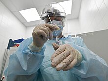 В какие страны можно лететь без ПЦР-теста, вакцинации и наличия антител