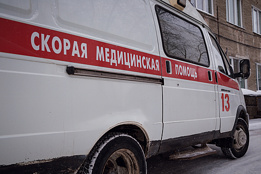 Мужчина попал в реанимацию после нападения бродячих собак в Иркутской области
