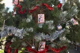 В центре Краснодара появилась новогодняя елка «АиФ-Юг»