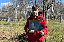В сквере Памяти в Санкт-Петербурге посадили 32 липы в честь героев специальной военной операции