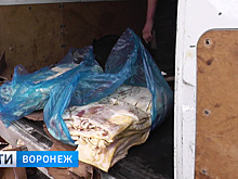 На границе с Воронежской областью задержали тонну санкционного сала