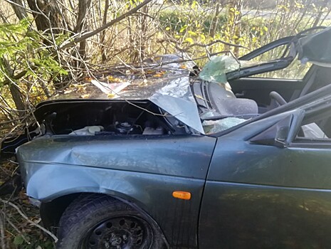 Опубликованы снимки смертельной аварии с лосем в Тверской области