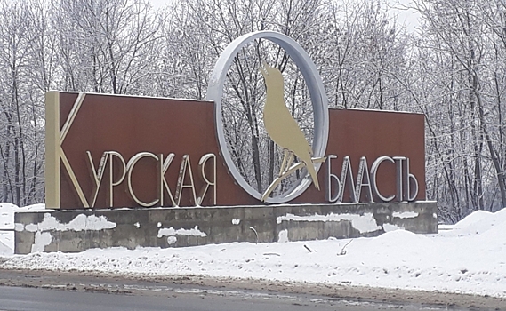 Куряне обсудили в Госдуме РФ развитие отечественных конкурентоспособных интернет-платформ