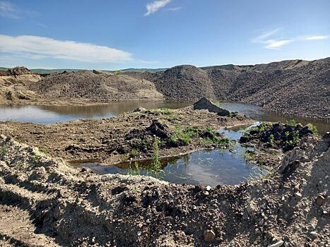 Золотодобытчики Дальнего Востока возместили ущерб природе на 224 млн рублей