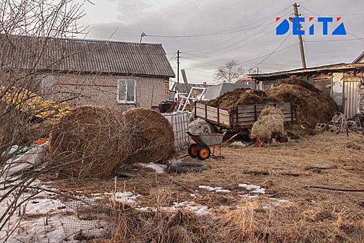 Дождь отрезал от цивилизации две деревни в Приморье