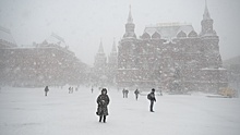 Синоптик ответила на вопрос о новых снегопадах в Москве этой зимой