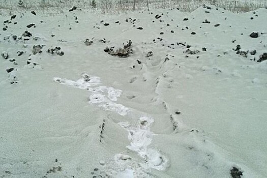 В российском городе нашли зеленый снег