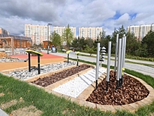 Вход на спортплощадку в Спасске сделали платным без ведома главы города: в ситуацию вмешался мэр