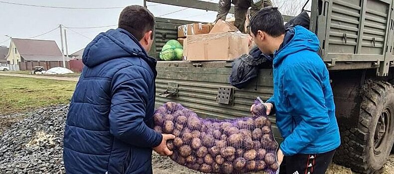 Юные хоккеисты из Боброва собрали около 2 тонн овощей для участников СВО. Жители села Хреновое и другие бобровцы передали мясо, мед, квашеную капусту и соленья