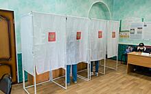 Явка на голосование в Рязанской области в середине дня 17 марта составила 67,5%