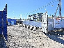 В Хабаровске строят медицинский блок для бездомных животных