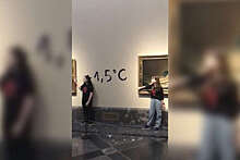 В музее Прадо в Мадриде экоактивисты приклеились руками к двум картинам Франсиско Гойи