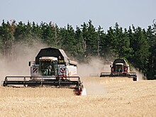 На Украине предупредили о риске голода из-за продажи земли
