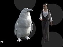 Останки «пингвина-монстра» обнаружили в Новой Зеландии