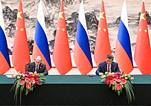 Раскрыт смысл цветов на столе переговоров Путина и Си Цзиньпина