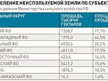 В Поморье предложили выращивать леса на заброшенных сельхозугодьях