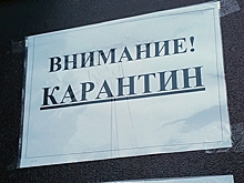 В Ростовской области организуют 1 тыс. коек для больных коронавирусом