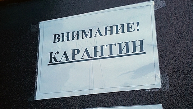 ТРЦ Новосибирска анонсировали режим работы на предстоящей неделе