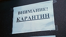 В Ростовской области организуют 1 тыс. коек для больных коронавирусом