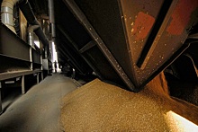 Аналитики ожидают увеличения погрузки зерна для ж/д перевозок