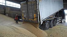 Президент Румынии сообщил, что решения для транзита и экспорта украинских зерновых найдены