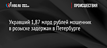 Укравший 1,87 млрд рублей мошенник в розыске задержан в Петербурге