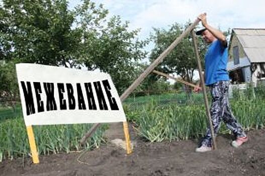 Дачу на учёт. Нужно ли межевать садовый участок?