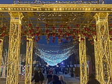 В защите заявки города примет участие легендарный спортсмен Александр Карелин