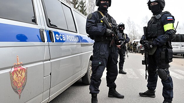 Девять предполагаемых боевиков задержаны в Чечне