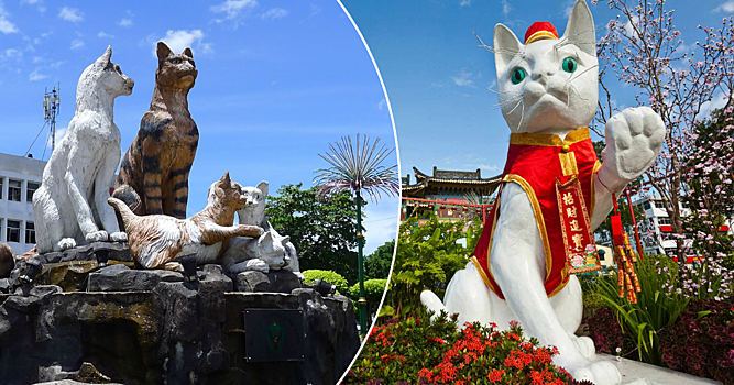 Город котов: необычное место в Малайзии, привлекающее туристов