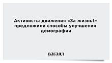 Активисты движения «За жизнь!» предложили способы улучшения демографии