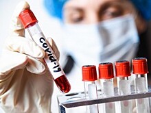 Загруженность столичных дорог оценивается в шесть баллов