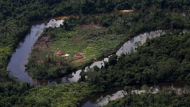 Шахтеров назвали главными врагами лесов Амазонии