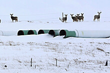 Байден в пику Трампу отменил строительство Keystone XL