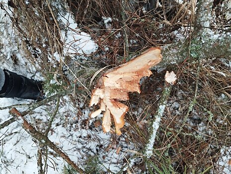 Это как-то не по-новогоднему