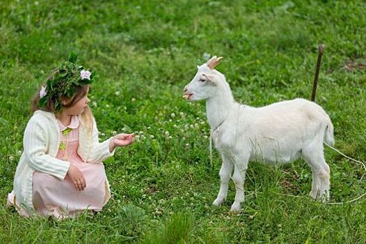 Основы агротуризма изучат участники нового потока «Школы фермера»