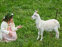 Основы агротуризма изучат участники нового потока «Школы фермера»