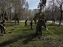 Города-побратимы Тольятти и Бобруйск объединились в экологической инициативе