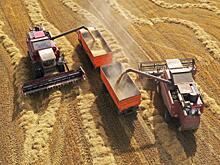 Вильфанд: отсутствие осадков не навредит зерновым культурам на юге России