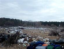 Нацпарк "Самарская лука" через суд обязал Рождествено ликвидировать свалку