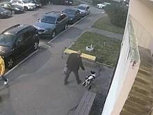 Стало известно о состоянии избитой в Подольске собаки-инвалида