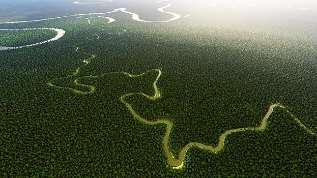 В Бразилии снова зафиксировали рекордные вырубки лесов Амазонки: Новости ➕1, 21.11.2021