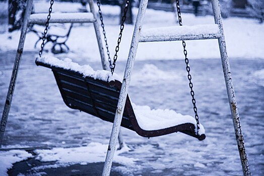 Стая бродячих собак растерзала 9-летнюю девочку. Почему во всём обвинили местную жительницу