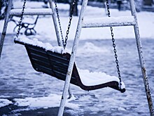 Стая бродячих собак растерзала 9-летнюю девочку. Почему во всём обвинили местную жительницу
