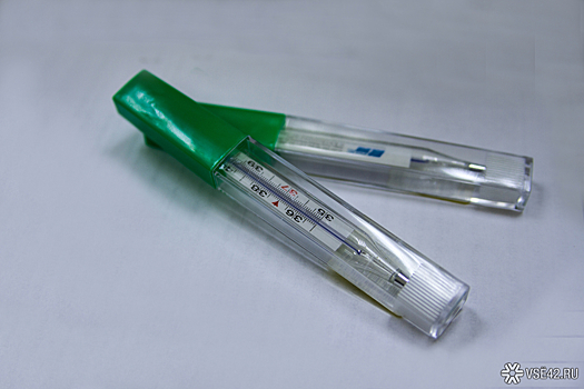 Терапевт Хухрев назвал температуру тела выше 39,5 °С опасной