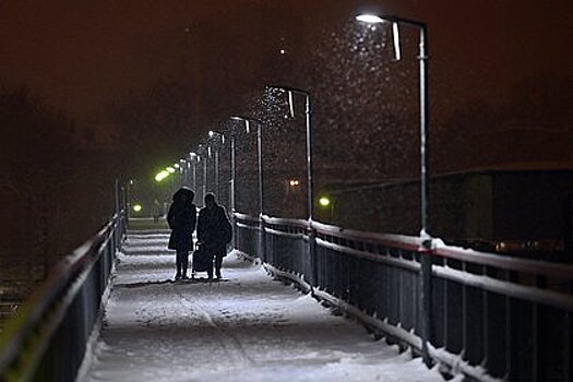 Житель российского города поскользнулся на неочищенной дорожке на мосту и умер