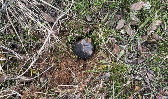 В Волгограде задержали иностранца, подозреваемого в попытке сбыта наркотиков